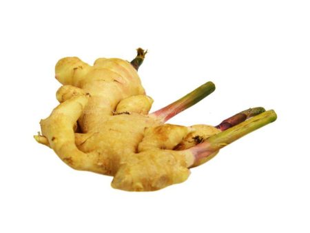 Young Ginger (Halia Muda) (Thailand) 200g For Discount