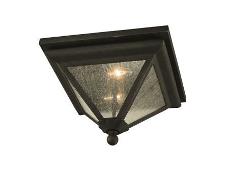 Geneva Outdoor Ceiling Light Online now