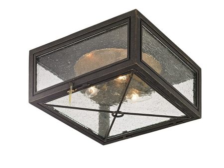 Randolph Outdoor Ceiling Light Cheap