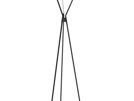 Star Led Floor Lamp Online Hot Sale