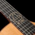 Taylor JMSM Jason Mraz Signature Grand Concert Acoustic Guitar Hot on Sale