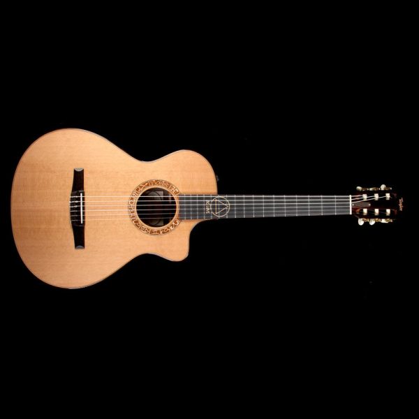 Taylor JMSM Jason Mraz Signature Grand Concert Acoustic Guitar Hot on Sale