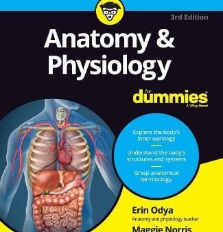 Erin Odya: Anatomy & Physiology For Dummies [2017] paperback Hot on Sale