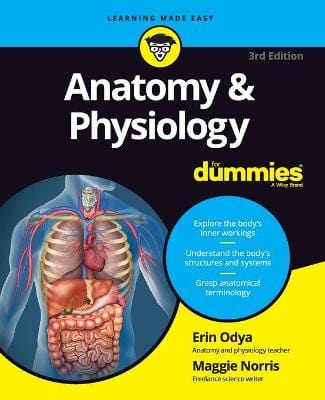 Erin Odya: Anatomy & Physiology For Dummies [2017] paperback Hot on Sale